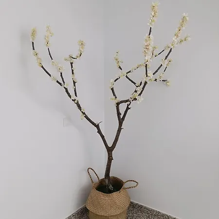 Daire El Cantillo Del Jerte Cabezuela Del Valle