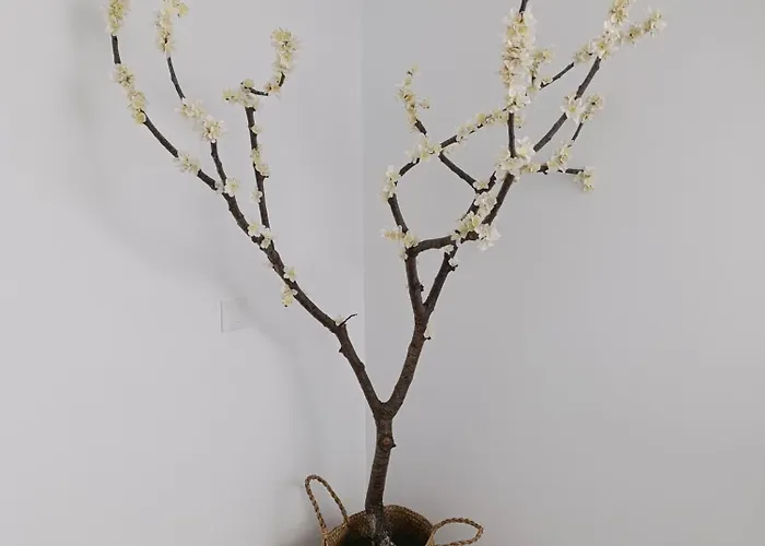 Apartment El Cantillo Del Jerte Cabezuela Del Valle