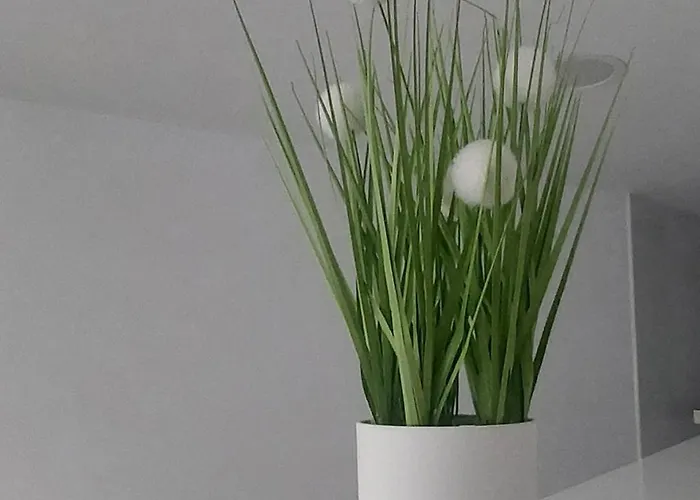 דירה El Cantillo Del Jerte