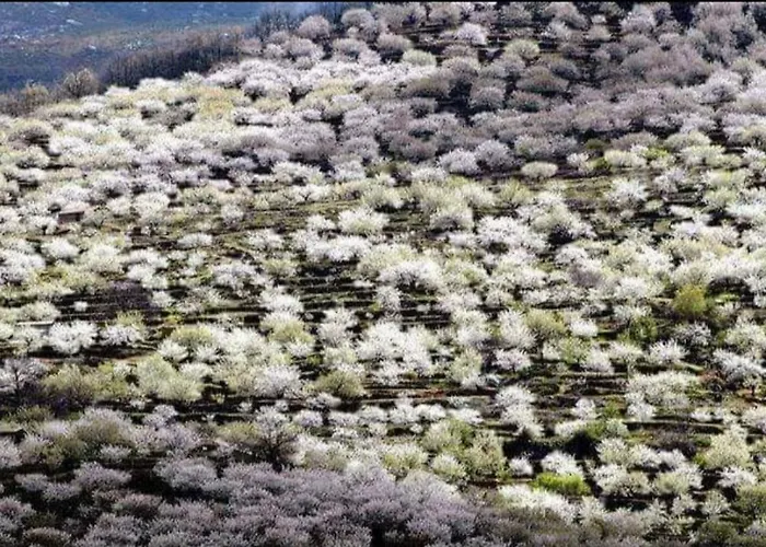 El Cantillo Del Jerte Διαμέρισμα Cabezuela Del Valle
