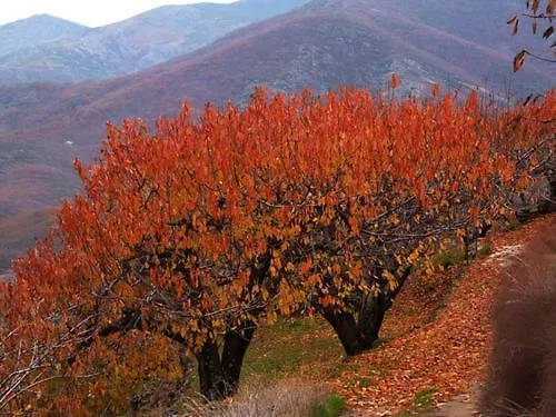 Διαμέρισμα El Cantillo Del Jerte Cabezuela Del Valle